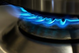 gas-herd-871136__180